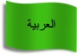 bandiera araba